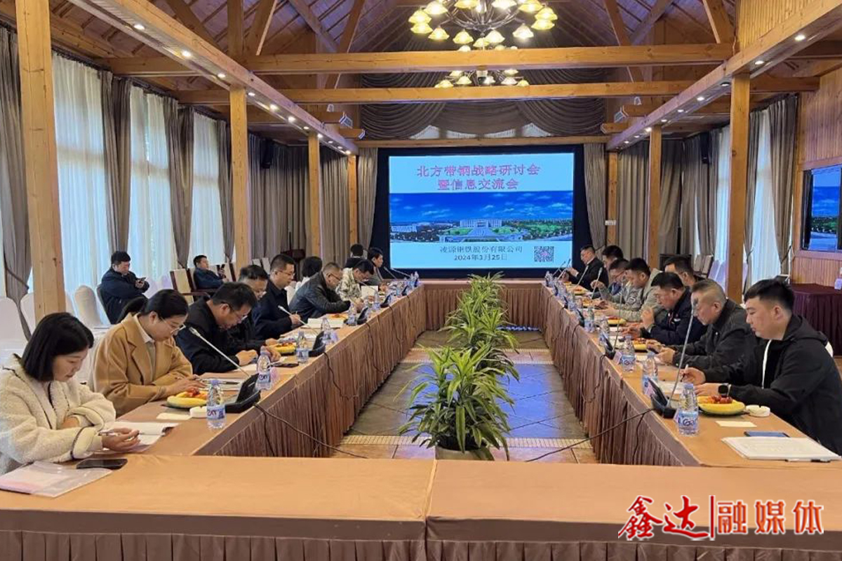 North China Strip steel strategy seminar and information exchange meeting - Nanhu Station successfully held