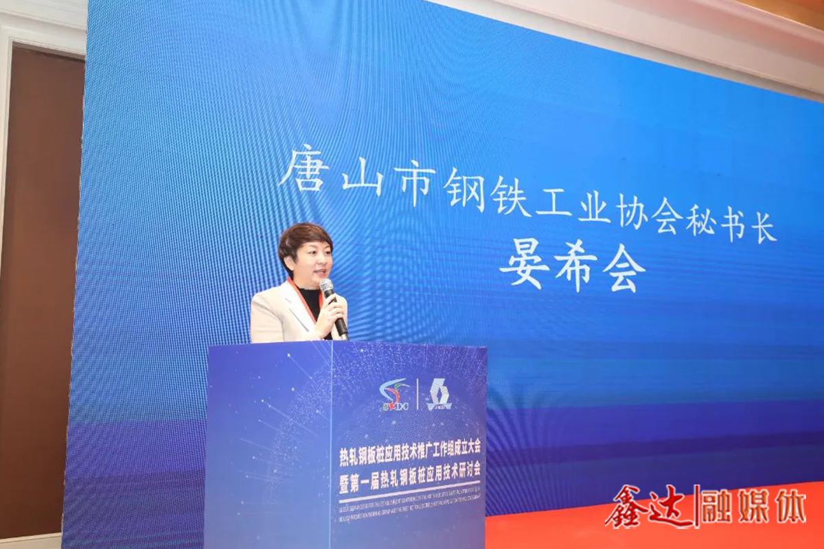 晏希会秘书长受邀出席并致辞！热轧钢板桩应用技术推广工作组成立大会暨第一届热轧钢板桩应用技术研讨会圆满召开